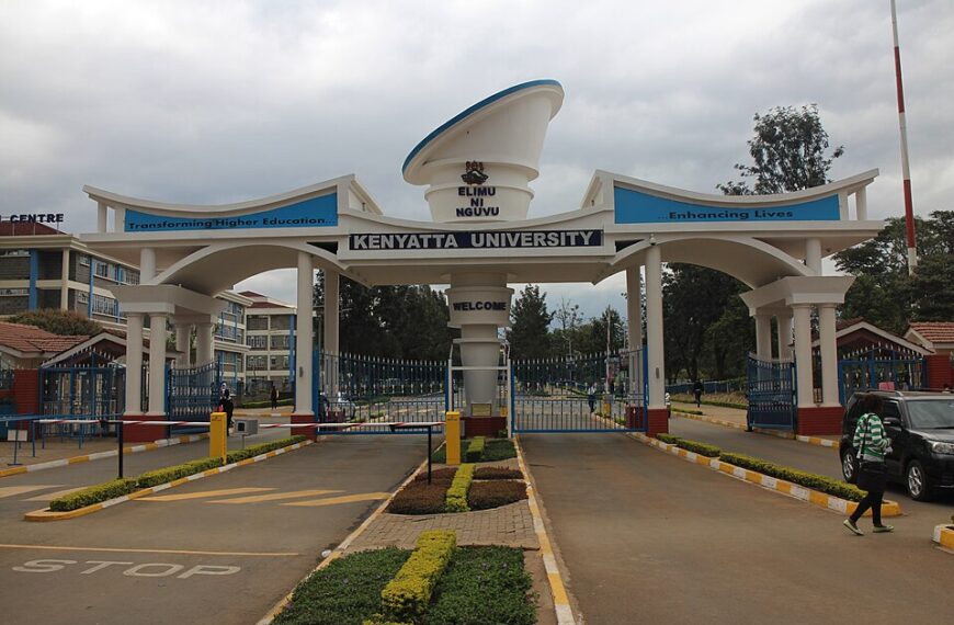 PSC Blames University Councils, Ministry Over Vice Chancellor Appointment Delays