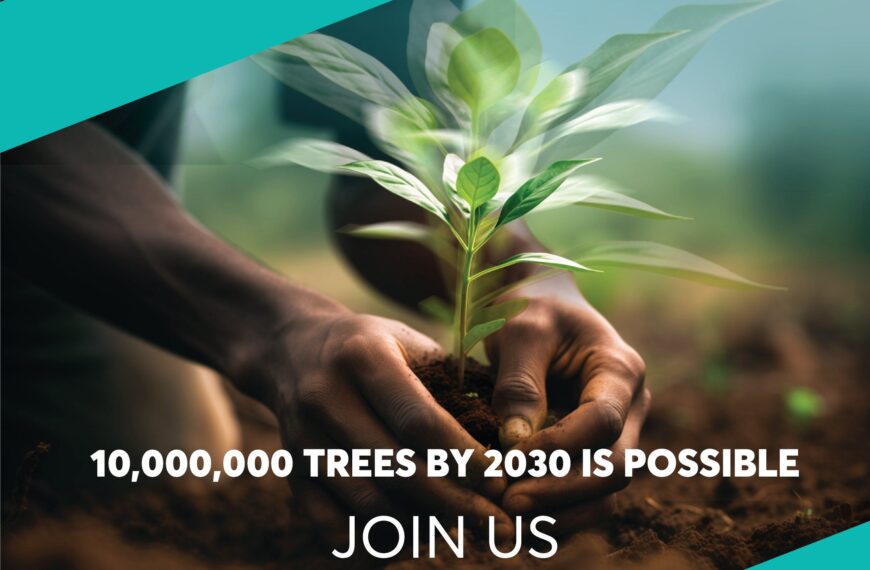 NCBA Advances Sustainability Agenda Through Regional Environmental Conservation Efforts
