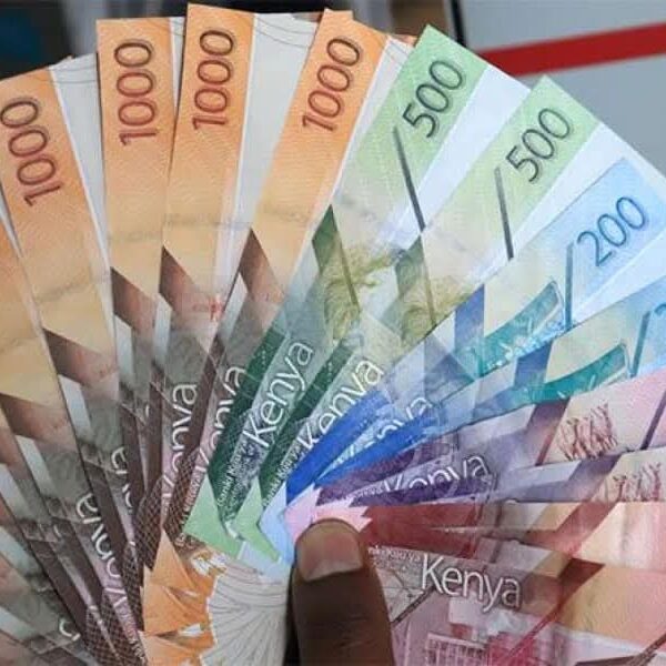 Kenya Shilling Remain Stable as Foreign Reserves Rise to $13.1 Million — CBK Report