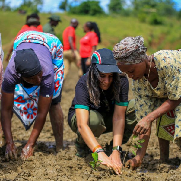 DTB Leads Mangrove Restoration Drive in Kwale on World Environment Day