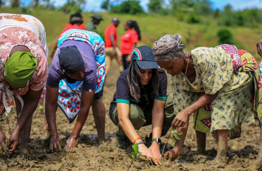 DTB Leads Mangrove Restoration Drive in Kwale on World Environment Day