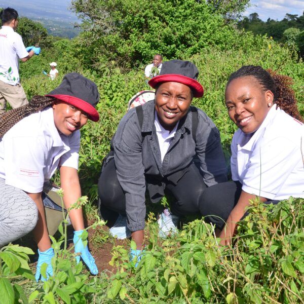 LG Plants 300 Indigenous Trees at Ngong Hills to Boost Forest Restoration Efforts