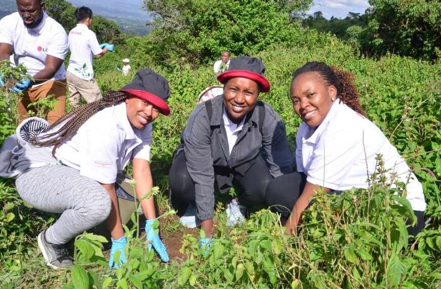 LG Plants 300 Indigenous Trees at Ngong Hills to Boost Forest Restoration Efforts