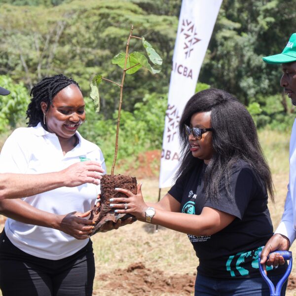 NCBA Accelerates 10 Million Tree Goal Through Agroforestry