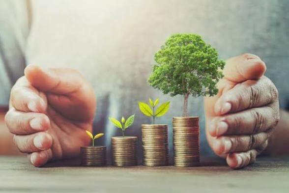 Investors Seek Better Yields as Money Market Fund Returns Drop